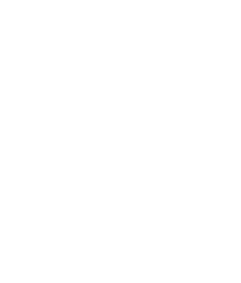 Alex Cartongesso Artistico